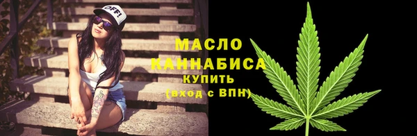 молекула духа Пестово