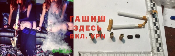 СК Пересвет