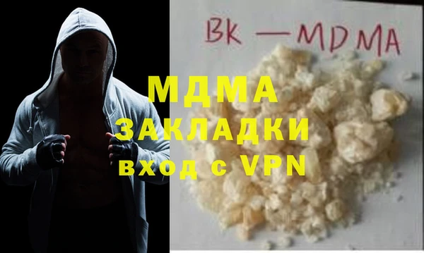 шишки Белокуриха
