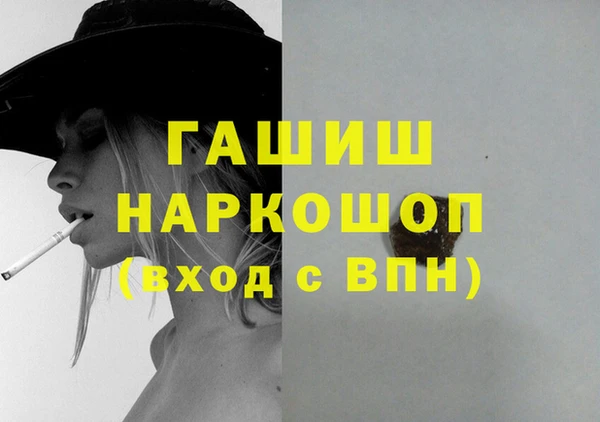 молекула духа Пестово