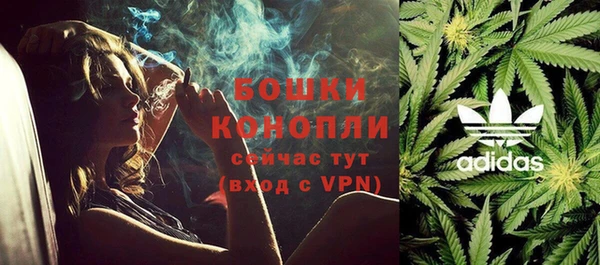 молекула духа Пестово