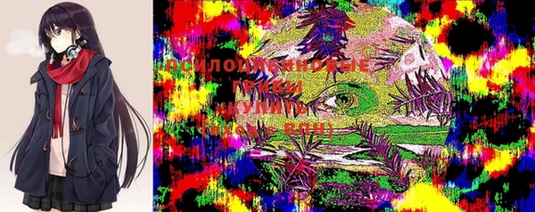 шишки Переславль-Залесский