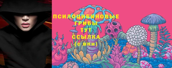 СК Осинники
