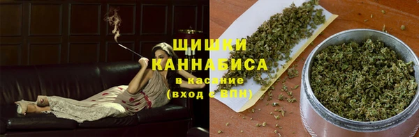 молекула духа Пестово