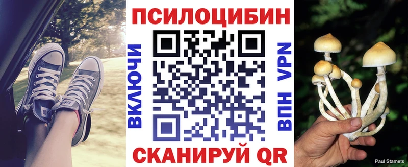 hydra вход Навашино Галлюциногенные грибы Psilocybe